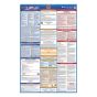 South Carolina Labor Law Poster